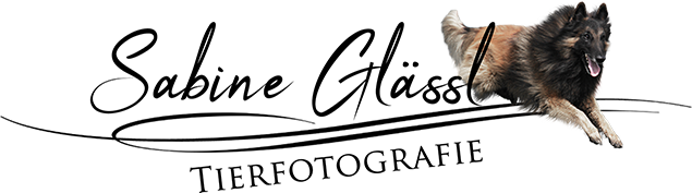 Sabine Glässl – Tierfotografie