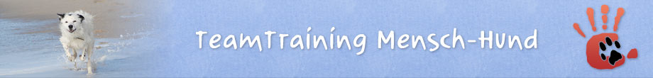TeamTraining Mensch-Hund